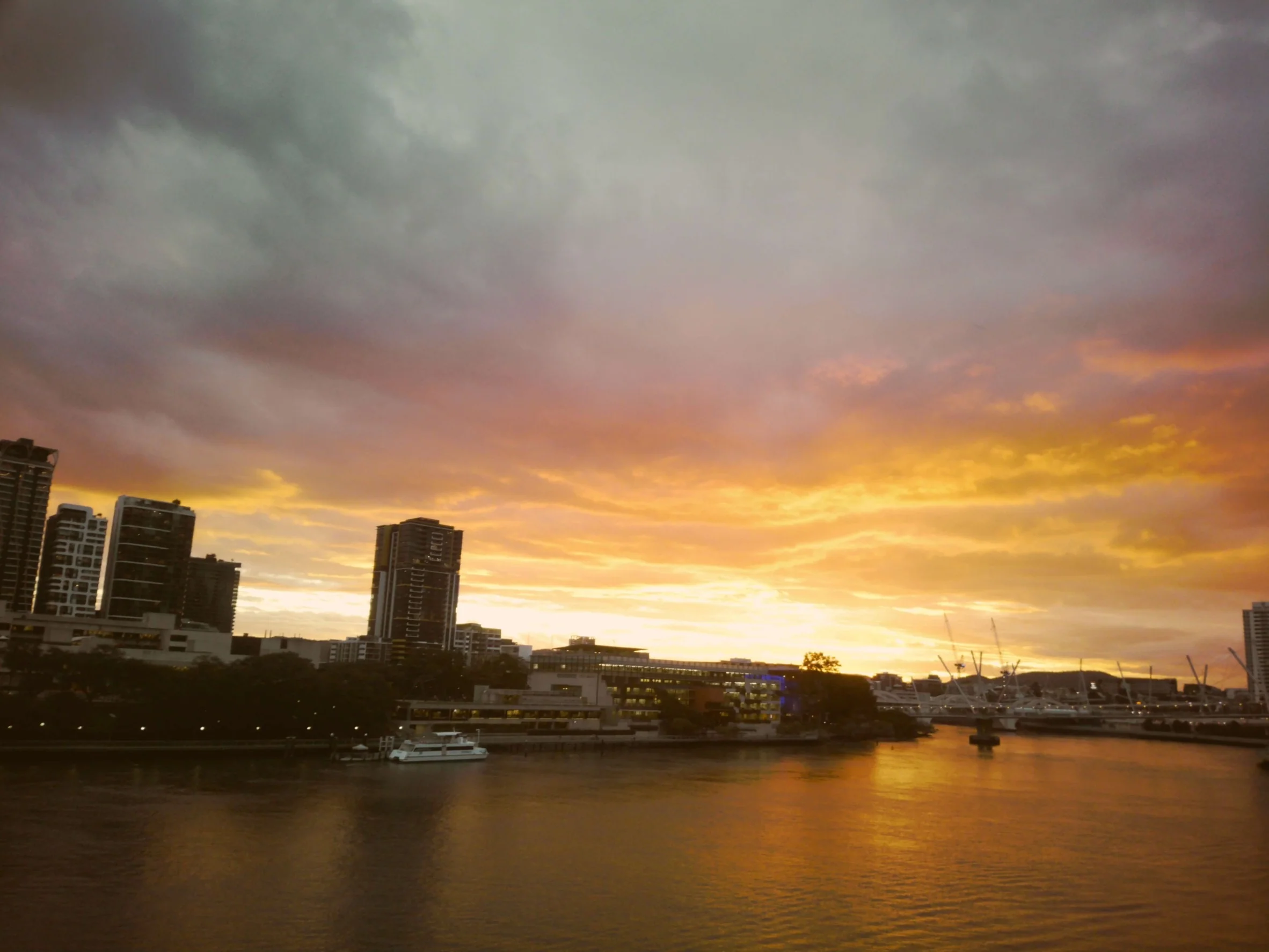 Filter Card -Softday - Image 5