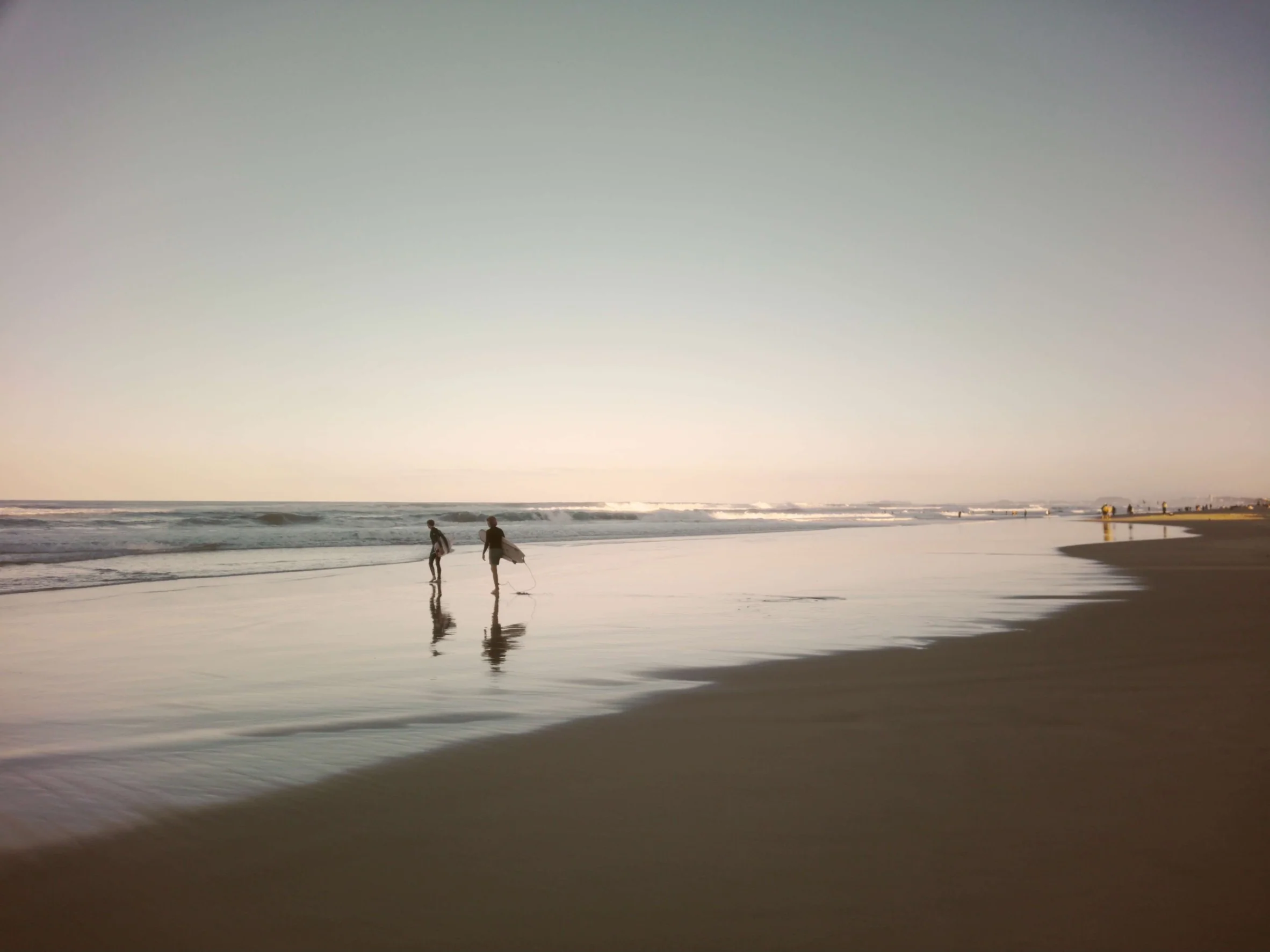 Filter Card -Softday - Image 4