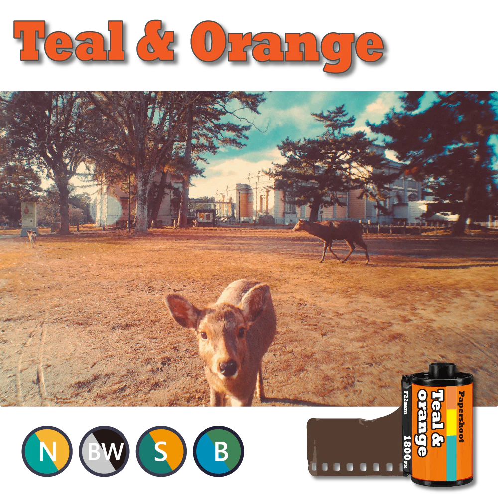 Cinema Tone Filter 4-Card Set (16 Styles) - Image 8