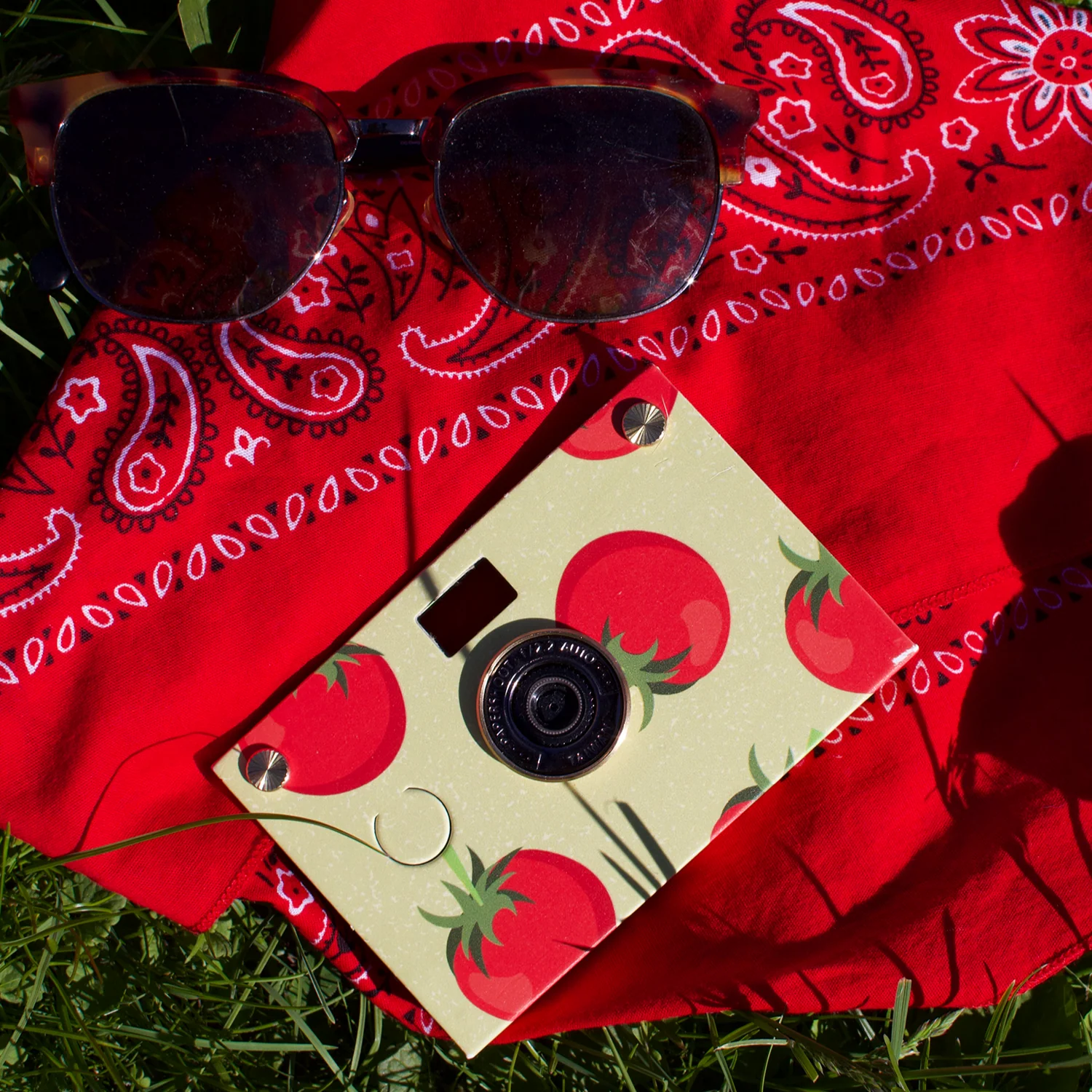 FruitPlay Paper Case - Image 9